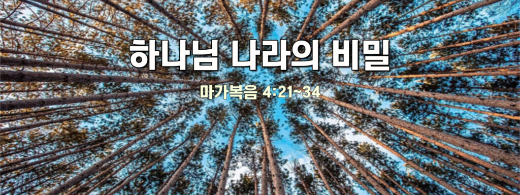 (주일설교) 하나님 나라의 비밀