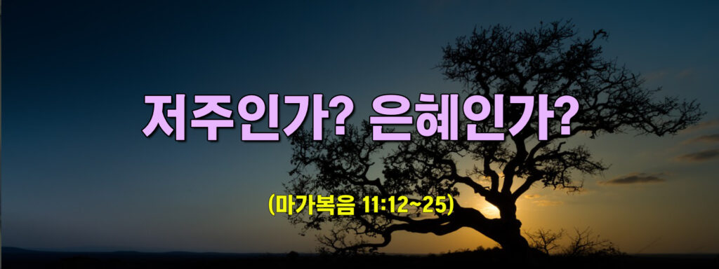 (주일설교) 저주인가? 은혜인가?