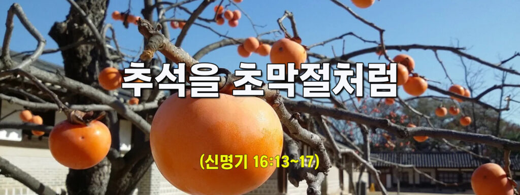 (수요설교) 추석을 초막절처럼