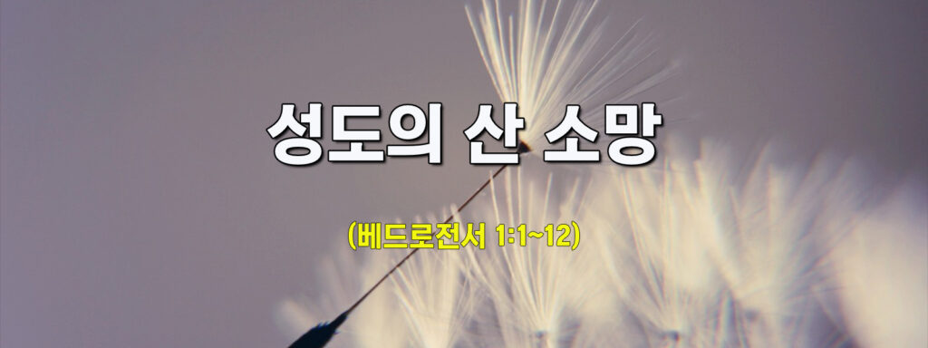 (주일설교)성도의 산 소망 (주일설교)성도의 산 소망