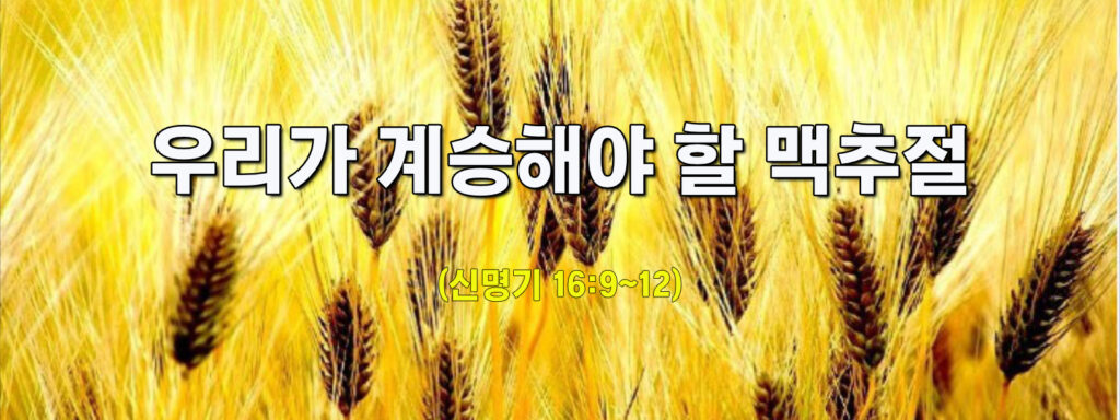 (주일설교)우리가 계승해야 할 맥추절